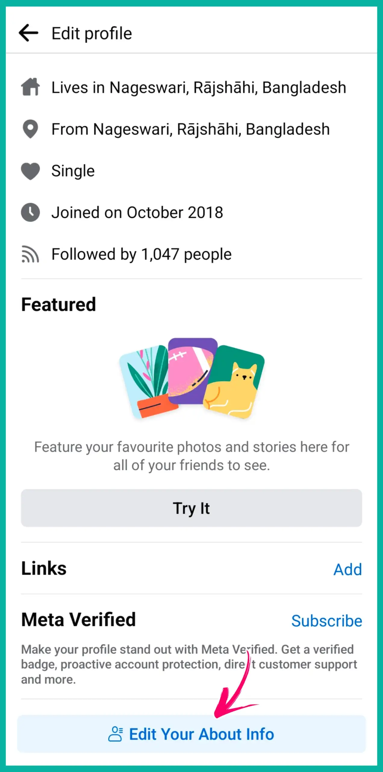 Facebook VIP Work Copy