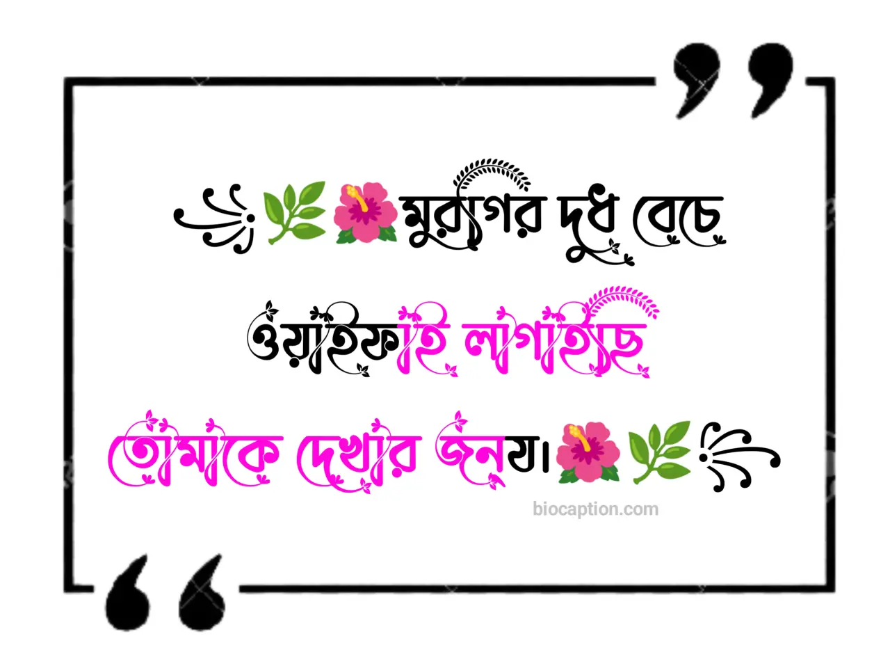 অসাধারণ ফেসবুক কমেন্ট - মেয়েদের ছবিতে ফানি কমেন্ট - বাংলা ফানি ফেসবুক কমেন্ট