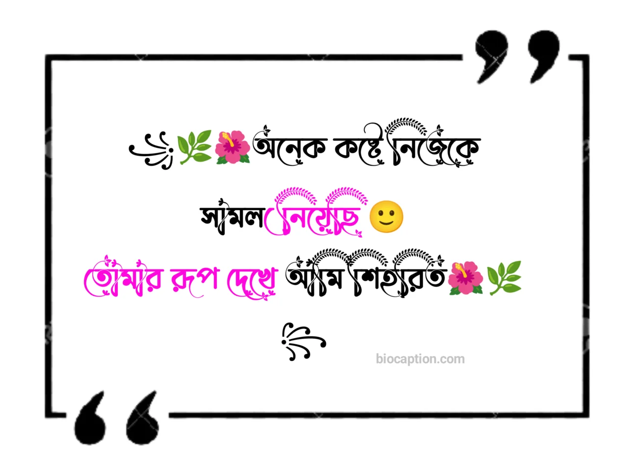 অসাধারণ ফেসবুক কমেন্ট - মেয়েদের ছবিতে ফানি কমেন্ট - বাংলা ফানি ফেসবুক কমেন্ট