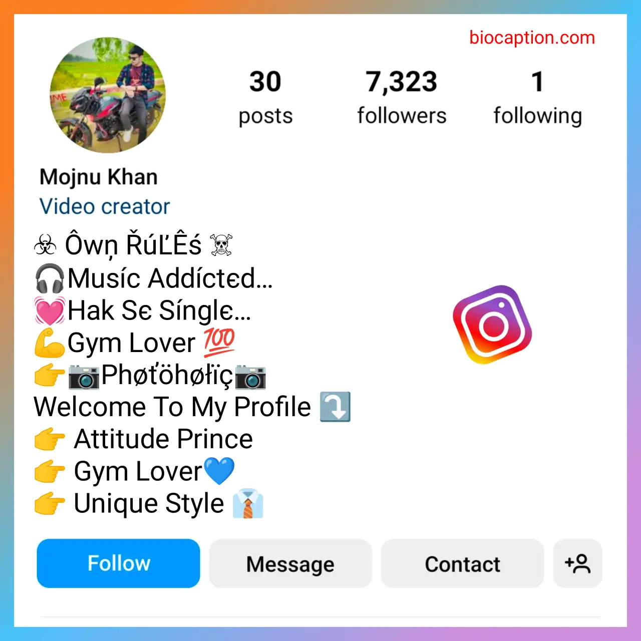 Stylish Instagram vip bio